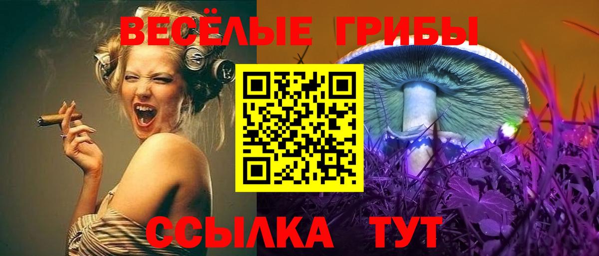 Псилоцибиновые грибы MAGIC MUSHROOMS Михайловка